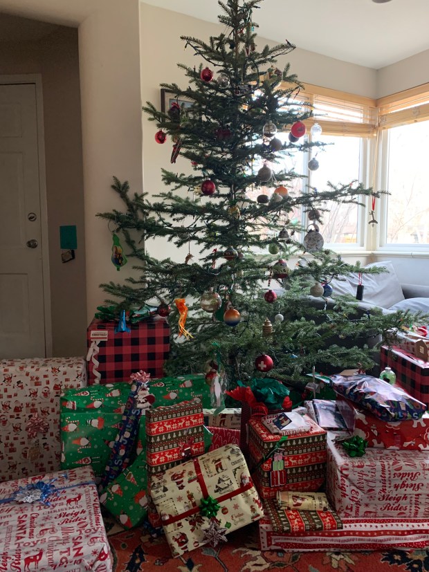 The Schrader family's 2023 Christmas tree came from a Denver Mountain Park and was cut down using a free permit through the city's Parks and Recreation Department. (Provided by Megan Schrader)